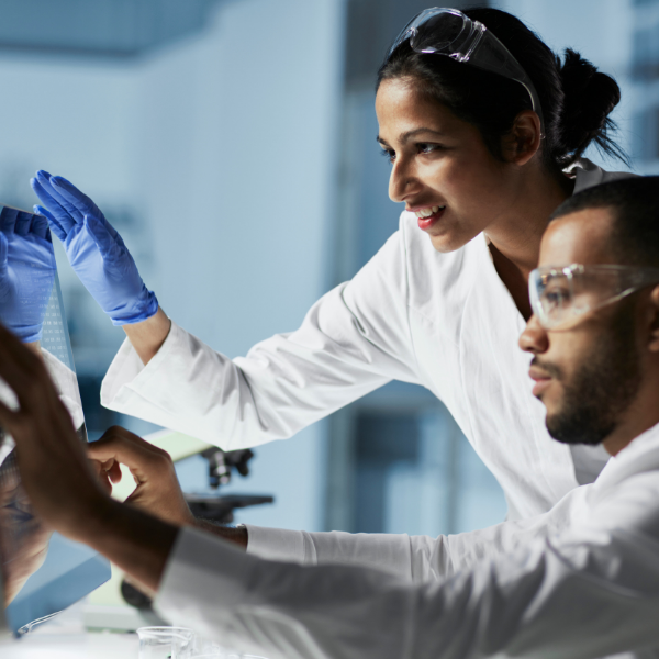 two researchers working